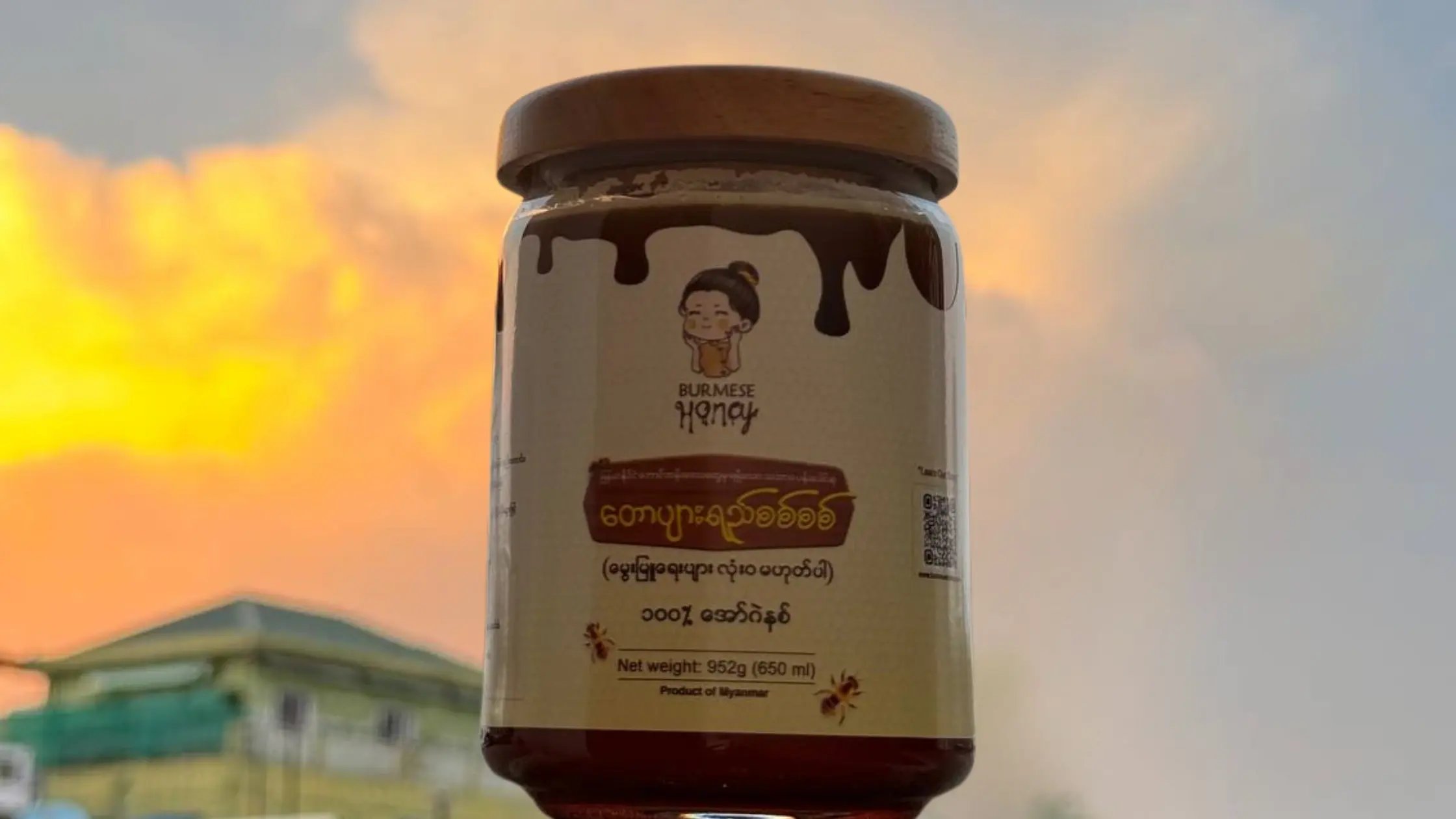 Burmese Honey