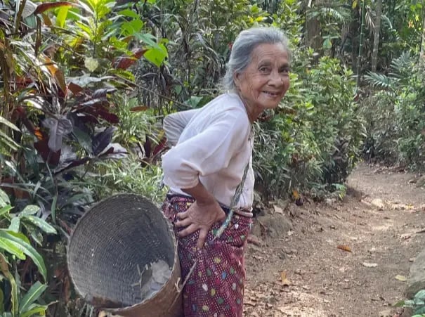 Burmese Honey Story