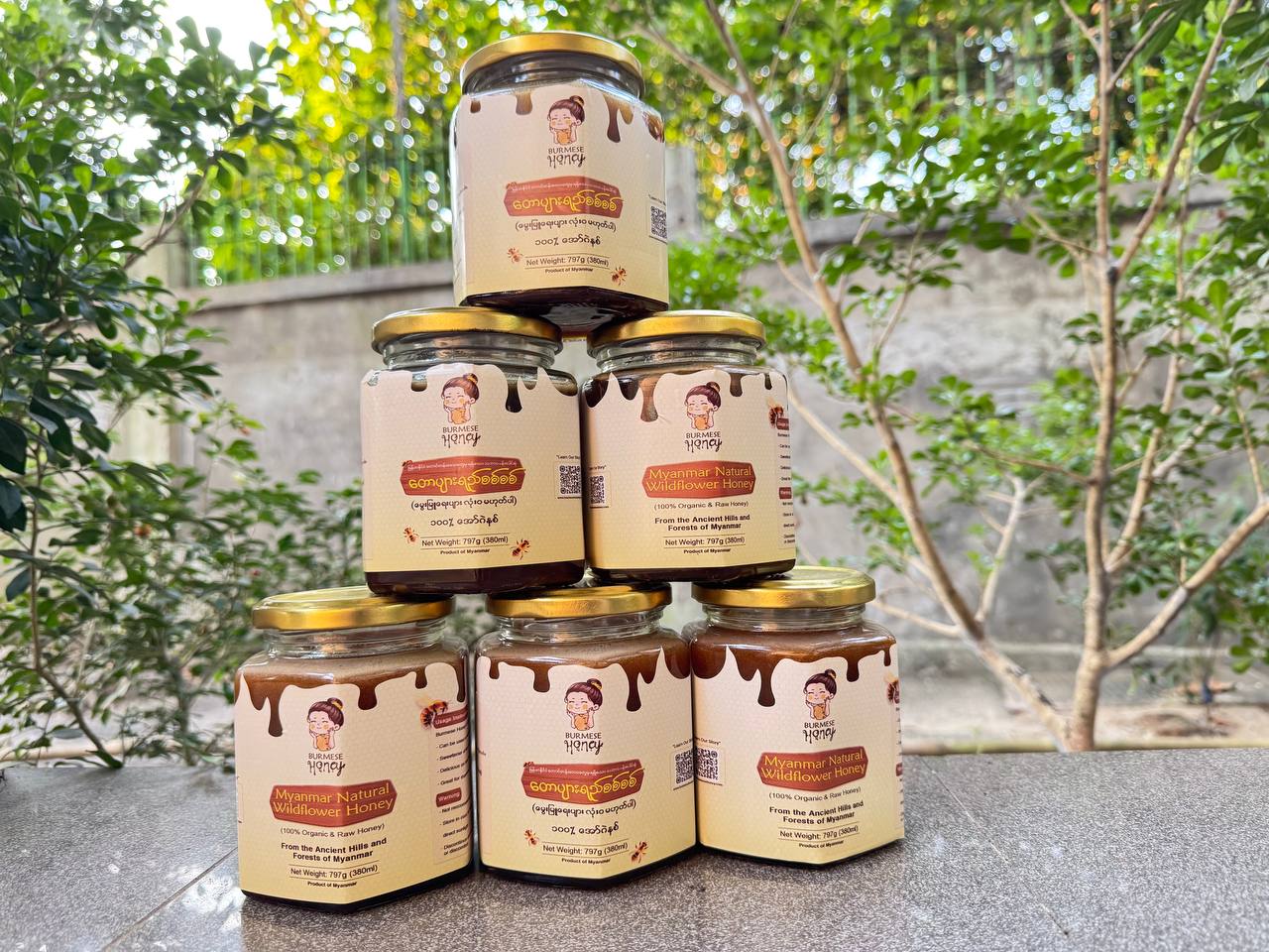 Burmese Honey