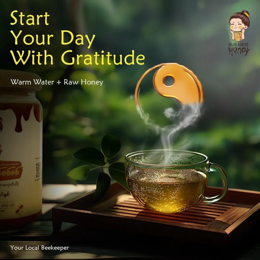 start your day burmese honey