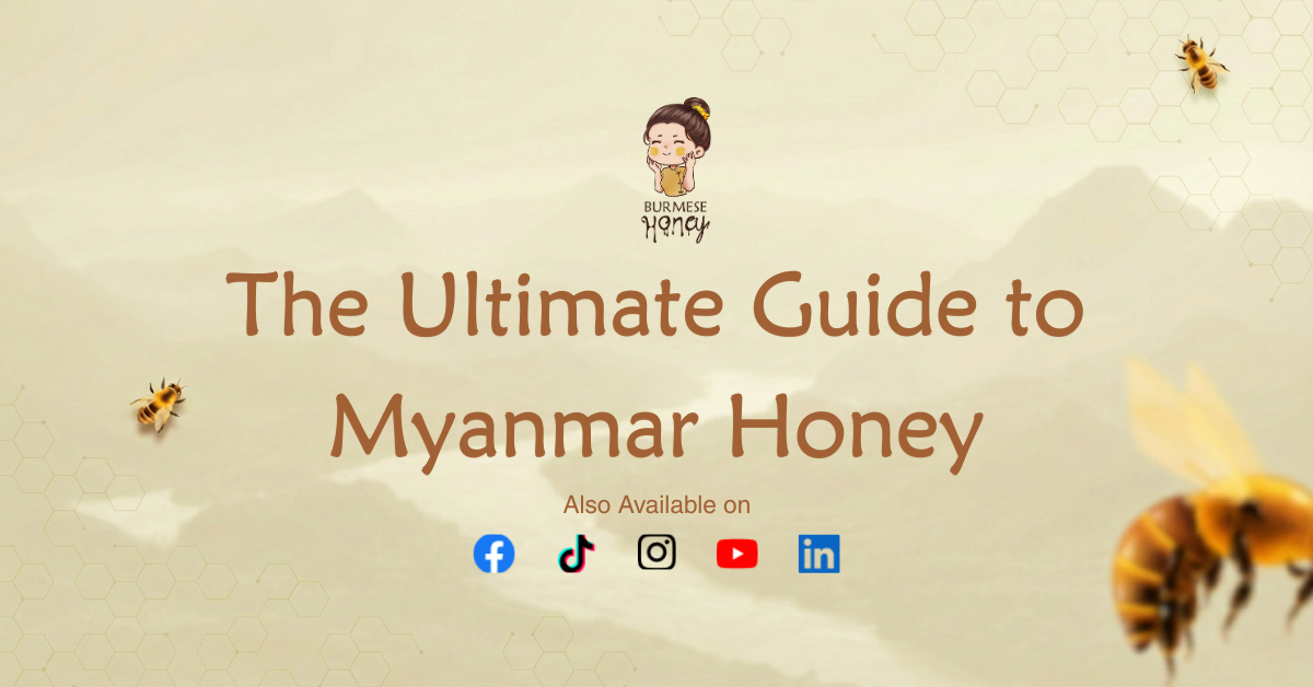 The Ultimate Guide to Myanmar Honey: Why Wild Raw Honey is the Only Choice