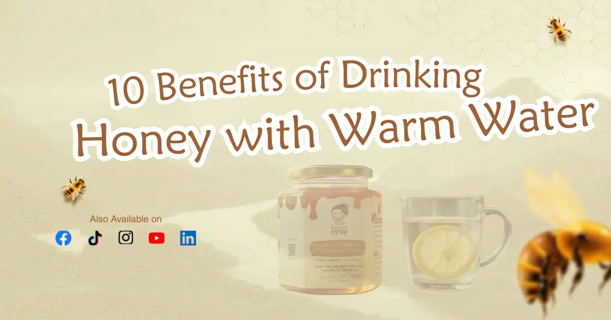 10 Benefits of Drinking Honey with Warm Water (2026 Guide)
