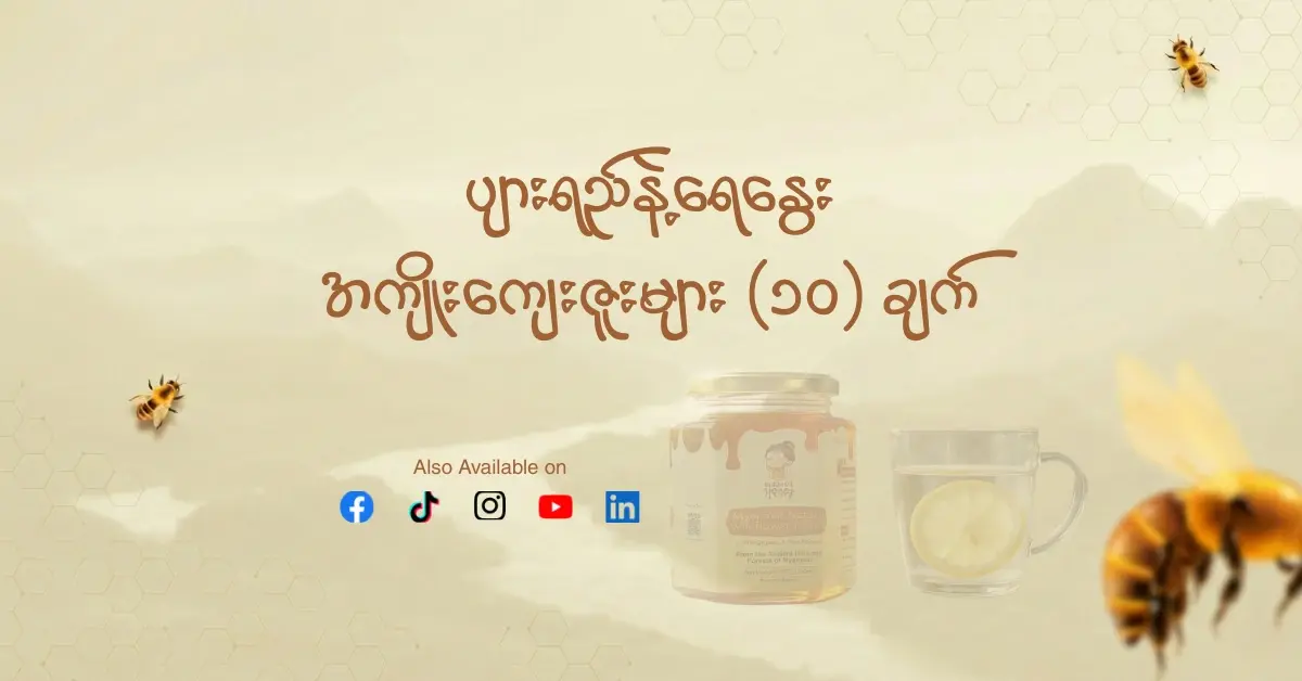 ပျားရည်နှင့် ရေနွေးနွေးသုံးစွဲရင်ကျန်းမာရေးကို ပြောင်းလဲပေးမယ့် သိပ္ပံနည်းကျ အကျိုးကျေးဇူး ၁၀ ချက် (၂၀၂၆)