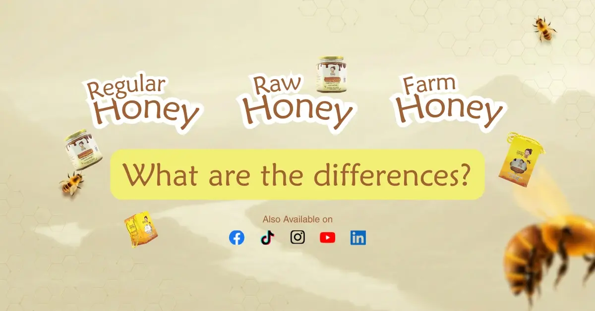 Raw Honey, Pure Honey, Farm Honey နဲ့ Regular Honey ဆိုတာ ဘာတွေကွာခြားသလဲ?