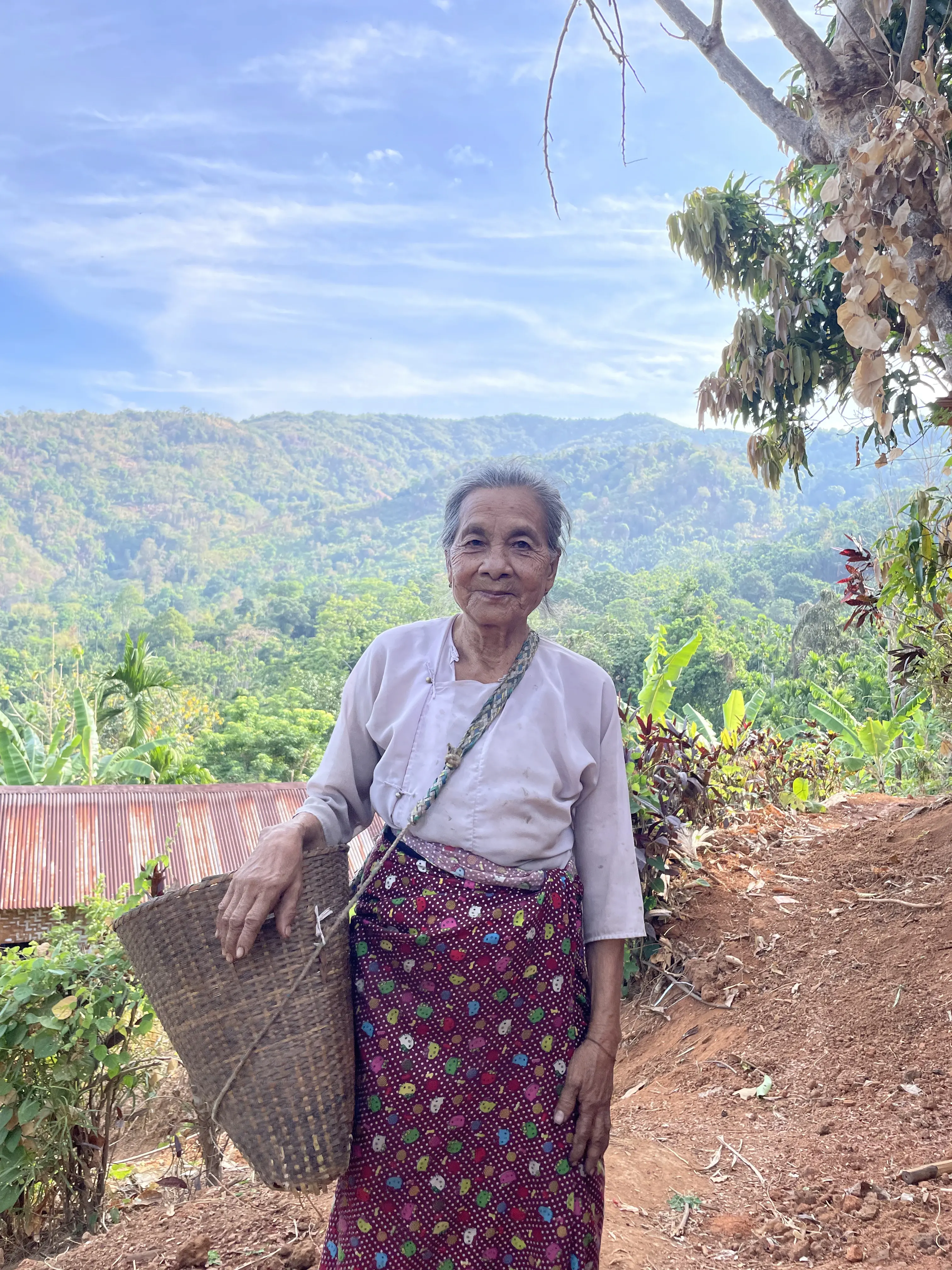 Burmese Honey Beekeeper
