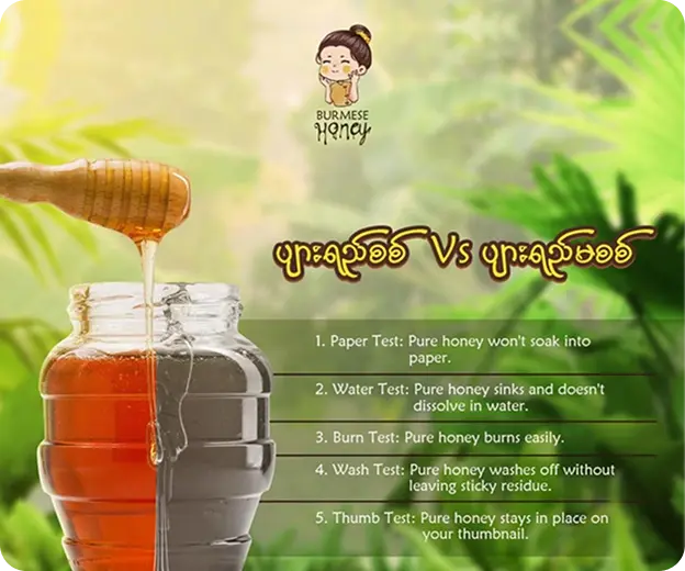 Burmese Honey real or fake